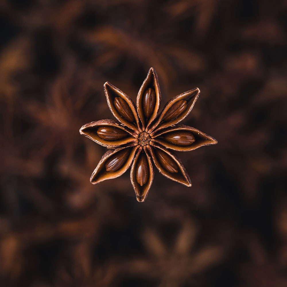 Star Anise Seeds view